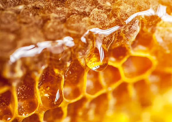 honey 3
